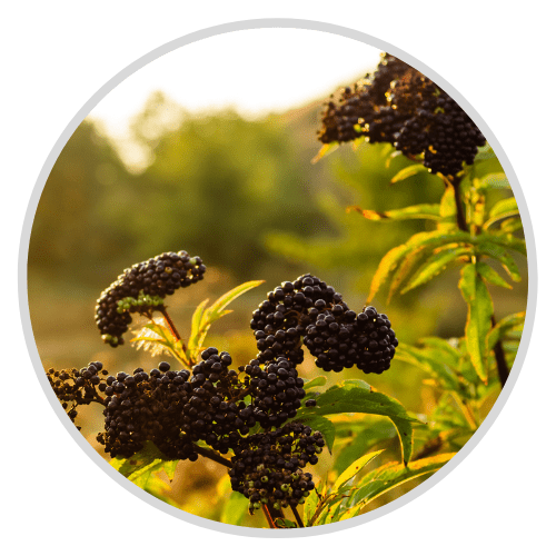 Untitled design - 2022-04-14T020519.605